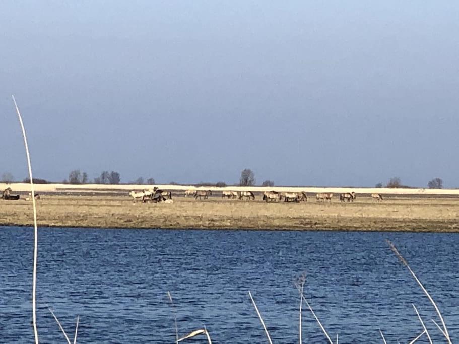 Prachtig Guesthouse Aan Het Water Almere Buitenkant foto
